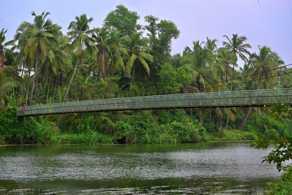 Best web development company in Kerala for Ayurvedic hospitals – serene Kerala landscape with lush greenery and river symbolizing natural healing and trusted digital solutions by Cyber Aliens.