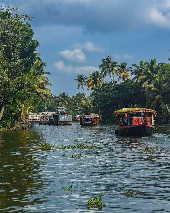 Cyber Aliens developer working on a laptop, illustrating the expertise of the best web development company in Alappuzha.